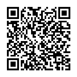 Link to your fundraiser QRCode - Fundraising