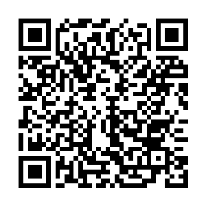 Link to your fundraiser QRCode - Fundraising