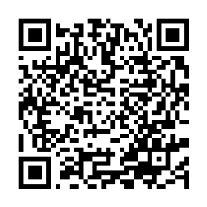 Link to your fundraiser QRCode - Fundraising