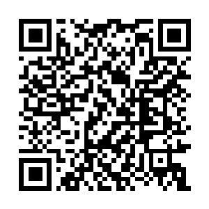 Link to your fundraiser QRCode - Fundraising