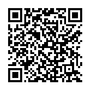 Link to your fundraiser QRCode - Fundraising