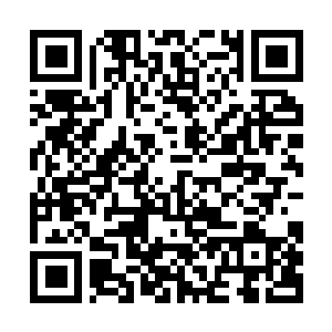 Link to your fundraiser QRCode - Fundraising