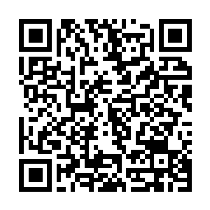 Link to your fundraiser QRCode - Fundraising