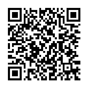 Link to your fundraiser QRCode - Fundraising