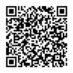 Link to your fundraiser QRCode - Fundraising