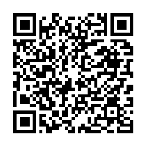 Link to your fundraiser QRCode - Fundraising
