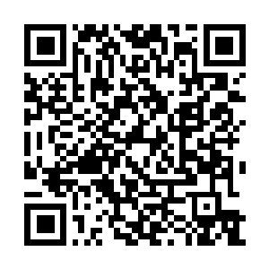 Link to your fundraiser QRCode - Fundraising