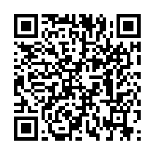 Link to your fundraiser QRCode - Fundraising