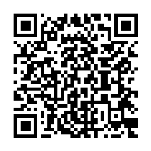 Link to your fundraiser QRCode - Fundraising