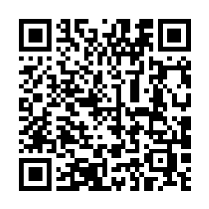 Link to your fundraiser QRCode - Fundraising