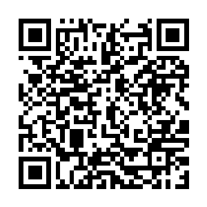 Link to your fundraiser QRCode - Fundraising