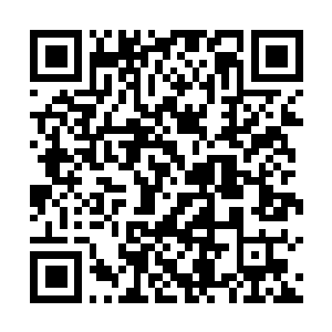Link to your fundraiser QRCode - Fundraising