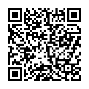 Link to your fundraiser QRCode - Fundraising