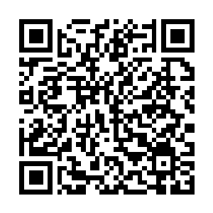 Link to your fundraiser QRCode - Fundraising