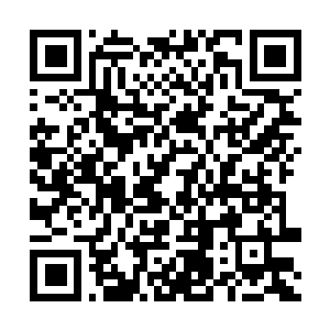 Link to your fundraiser QRCode - Fundraising