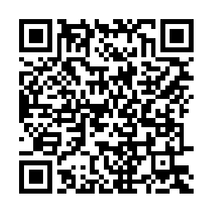 Link to your fundraiser QRCode - Fundraising