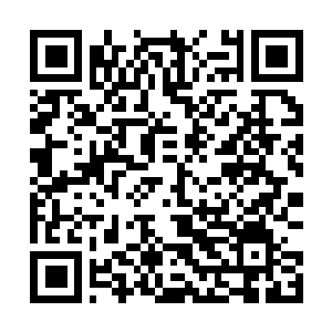 Link to your fundraiser QRCode - Fundraising