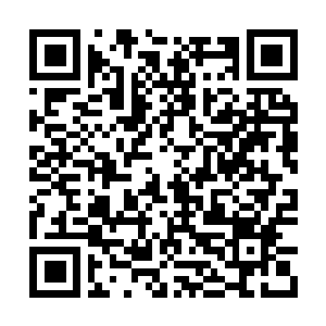 Link to your fundraiser QRCode - Fundraising