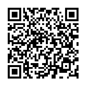 Link to your fundraiser QRCode - Fundraising
