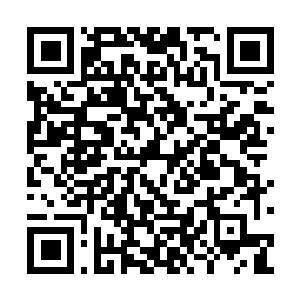 Link to your fundraiser QRCode - Fundraising