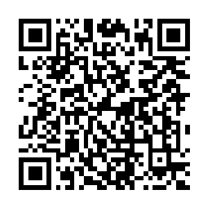 Link to your fundraiser QRCode - Fundraising