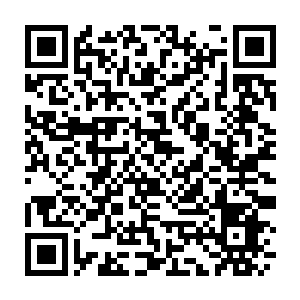 Link to your fundraiser QRCode - Fundraising