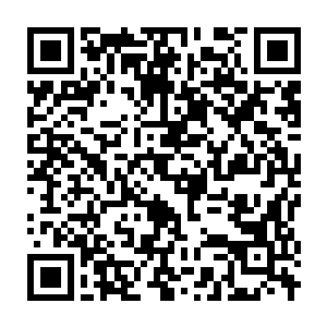 Link to your fundraiser QRCode - Fundraising