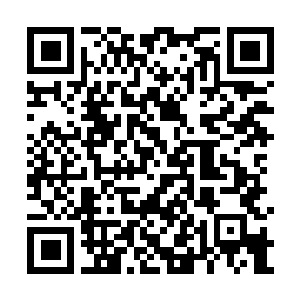 Link to your fundraiser QRCode - Fundraising