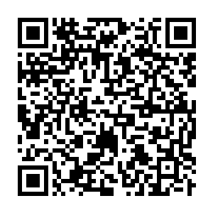 Link to your fundraiser QRCode - Fundraising