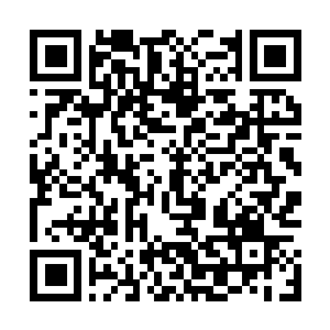 Link to your fundraiser QRCode - Fundraising