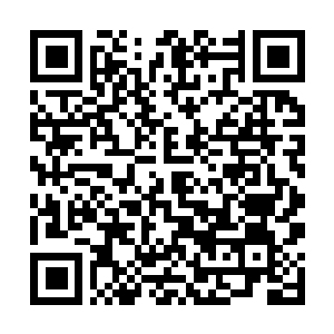 Link to your fundraiser QRCode - Fundraising