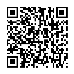 Link to your fundraiser QRCode - Fundraising