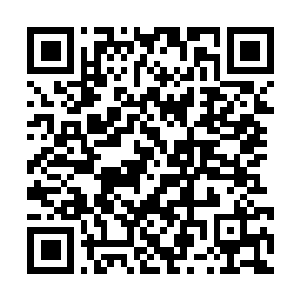 Link to your fundraiser QRCode - Fundraising