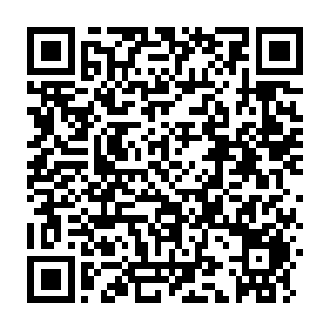 Link to your fundraiser QRCode - Fundraising