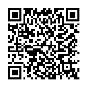 Link to your fundraiser QRCode - Fundraising