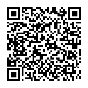 Link to your fundraiser QRCode - Fundraising
