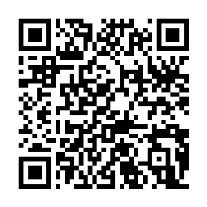 Link to your fundraiser QRCode - Fundraising