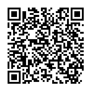 Link to your fundraiser QRCode - Fundraising
