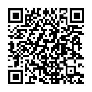 Link to your fundraiser QRCode - Fundraising