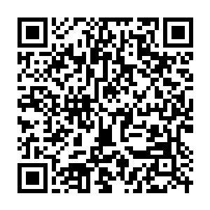 Link to your fundraiser QRCode - Fundraising