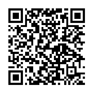 Link to your fundraiser QRCode - Fundraising