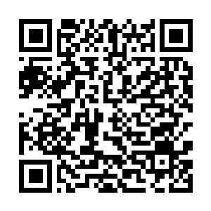 Link to your fundraiser QRCode - Fundraising