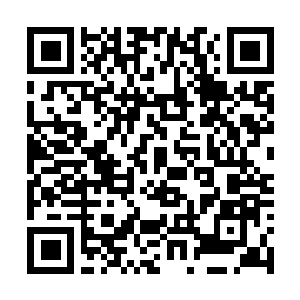 Link to your fundraiser QRCode - Fundraising