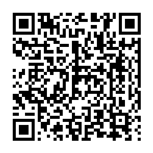 Link to your fundraiser QRCode - Fundraising