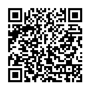 Link to your fundraiser QRCode - Fundraising