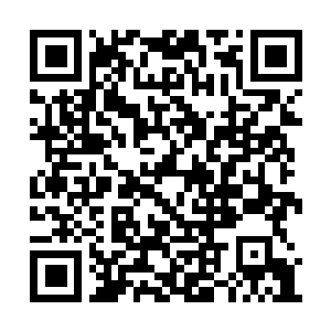 Link to your fundraiser QRCode - Fundraising