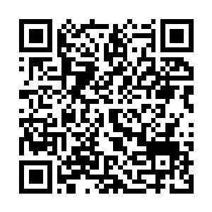 Link to your fundraiser QRCode - Fundraising
