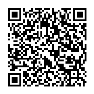 Link to your fundraiser QRCode - Fundraising
