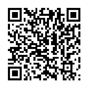 Link to your fundraiser QRCode - Fundraising