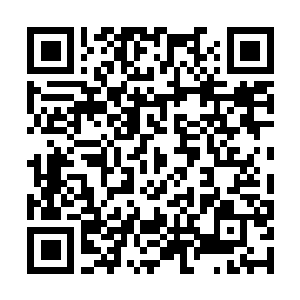 Link to your fundraiser QRCode - Fundraising